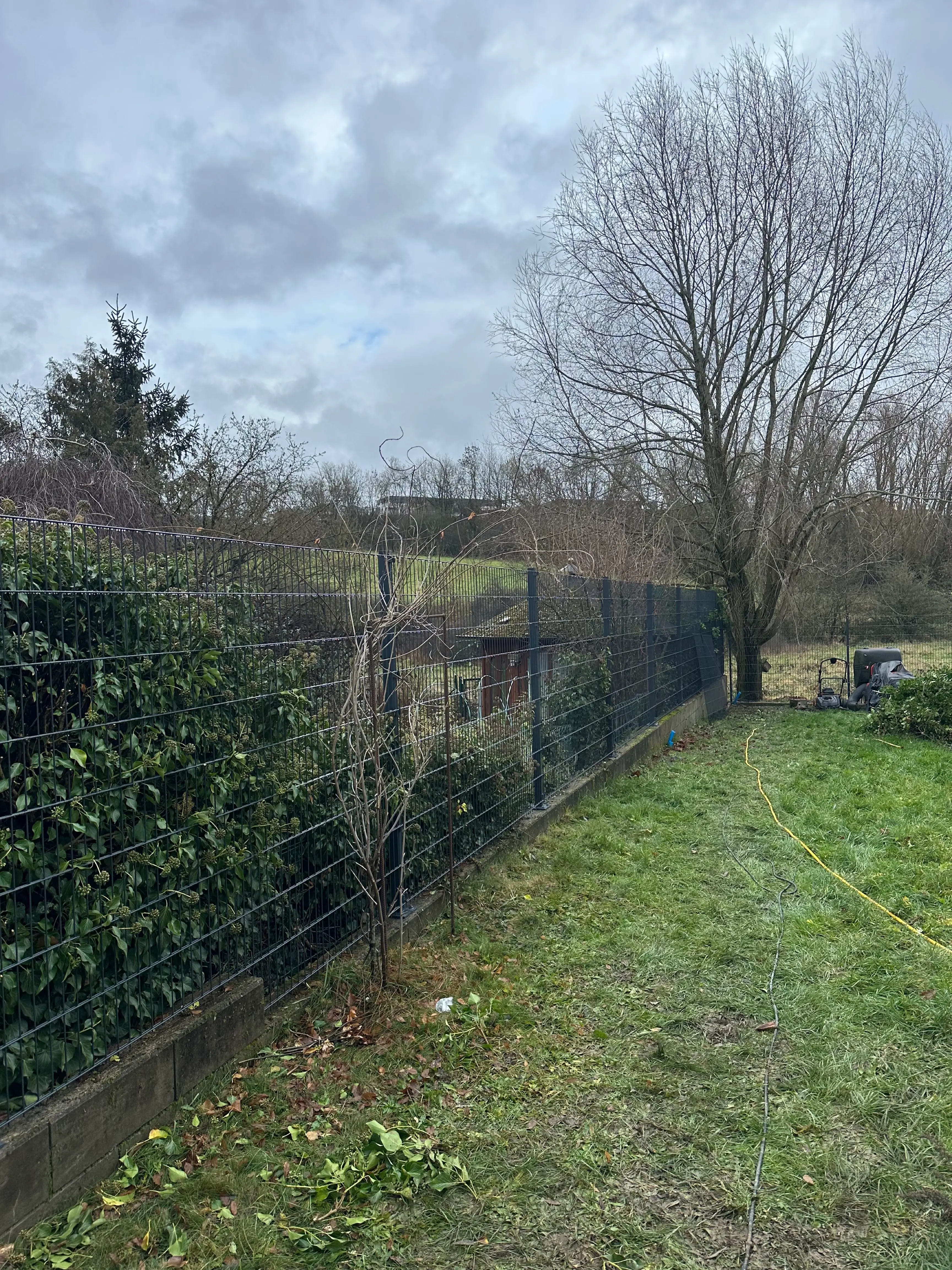 Projet Clotures - Luxembourg