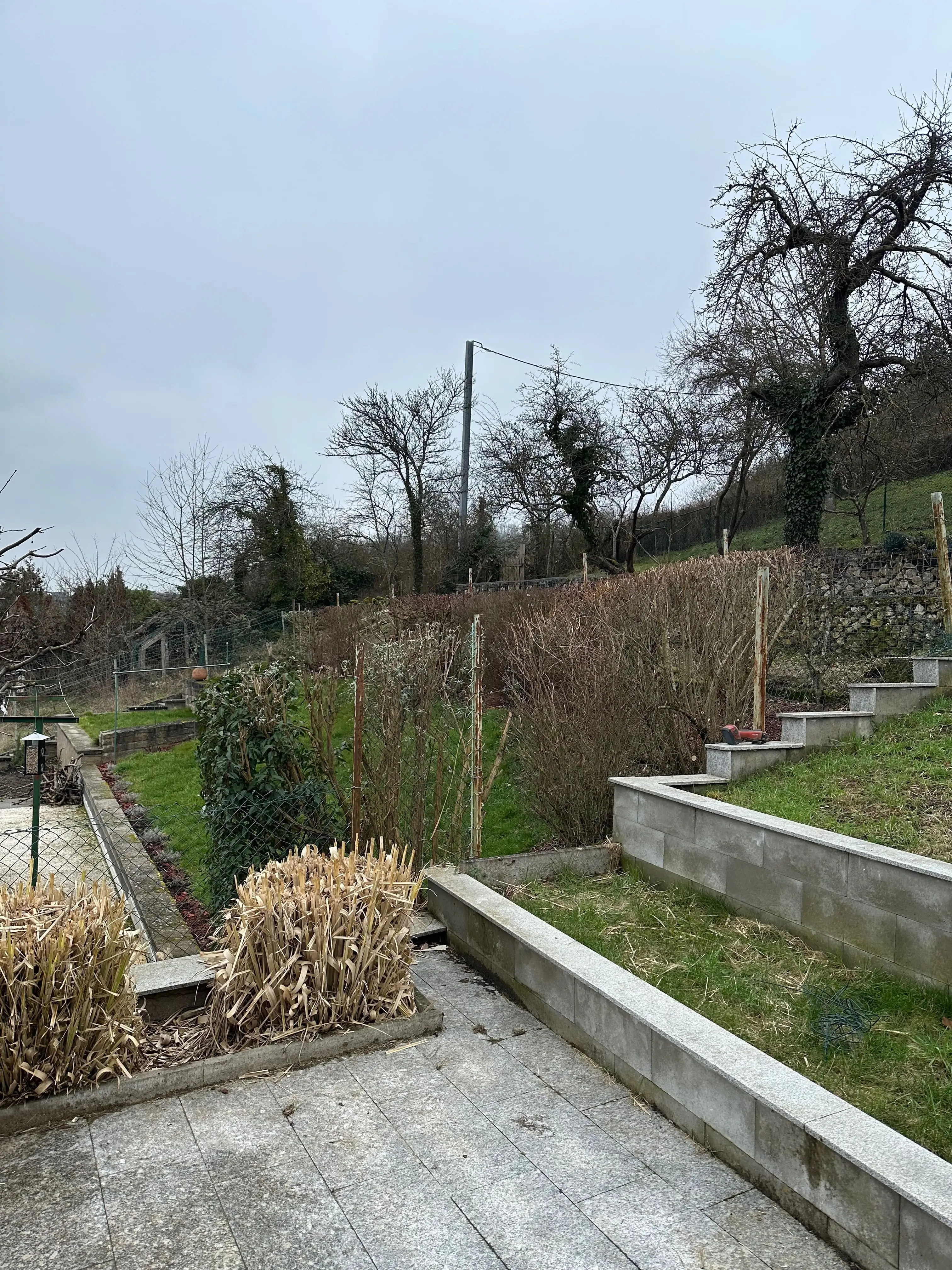 Clôture rigide - Avant