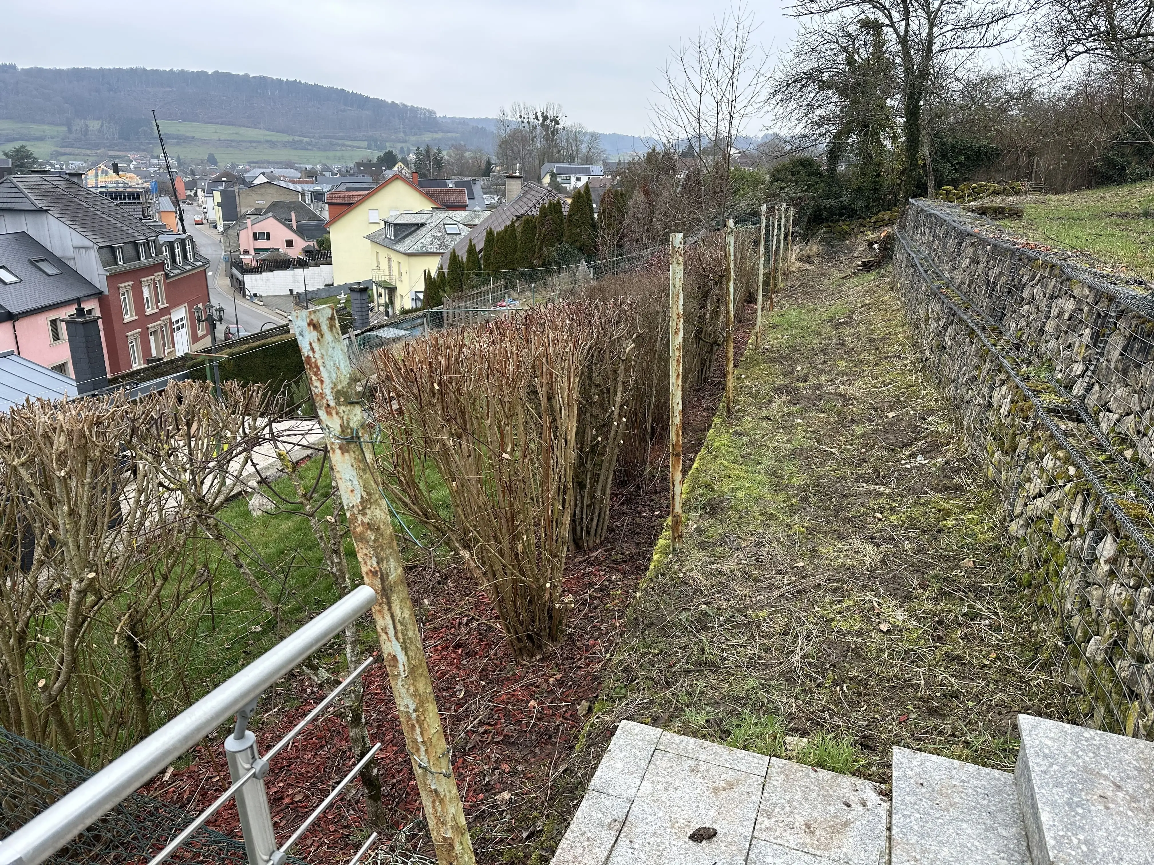 Projet Clotures - Lintgen Luxembourg